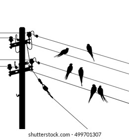 Birds migration. The background with birds, and space for your text