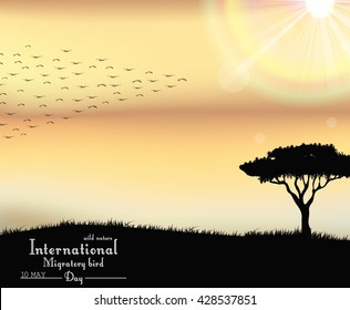 Birds migratory day on sunset background.Vector
