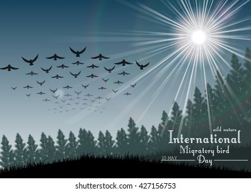 Birds migratory day with palm tree and sunlight.Vector