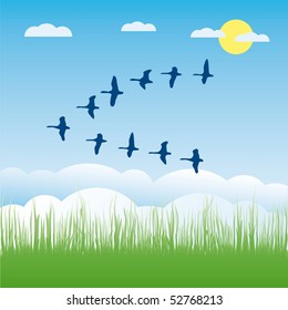 Birds migratory vector illustration cartoon