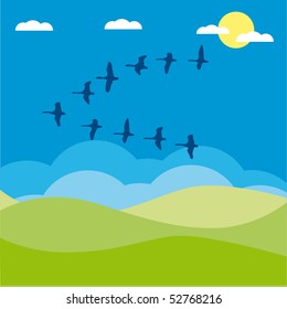 Birds migratory vector illustration cartoon