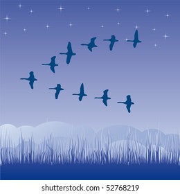 Birds migratory vector illustration cartoon