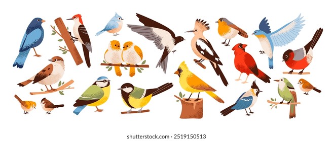 Birds in a minimalist hand-drawn style set. A variety of birds on branches, such as sparrow, woodpecker, swallow, bullfinch, titmouse, and canary. A flat illustration of the birds natural habitat.