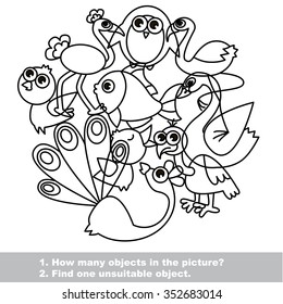 Birds  mishmash set in vector. 