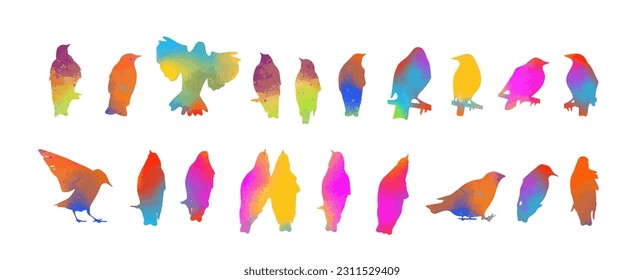 birds multicolored isolated set sitting. Vector illustration
