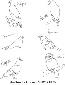 Birds with names - hand drawn vector set in line art style