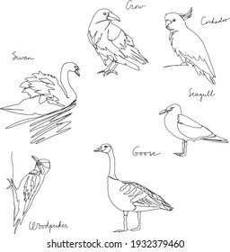 Birds Drawing Images With Name - art-earwax