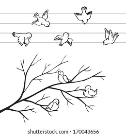 birds in nature