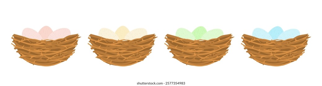 Birds nest with colored eggs. Wild nature branches collected together for nesting and hatching chicks with nature vector design