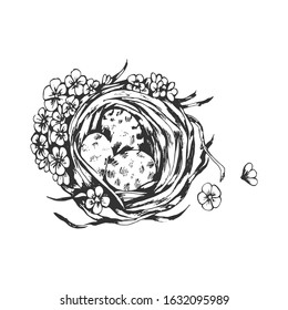 A bird's nest drawn by hand on a white background. Vector
