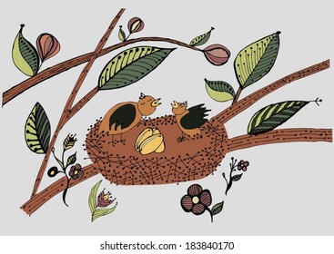 Birds i the nest with eggs
