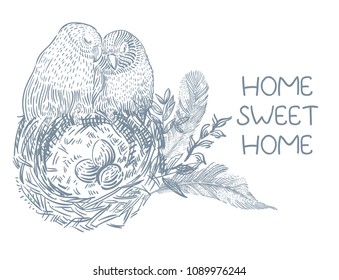Birds in the nest with eggs, graphic image over white