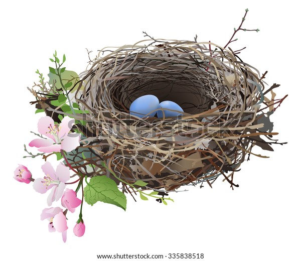 卵を持つ鳥の巣 白い背景に春の花と緑の子に囲まれた青い卵2個と鳥の巣の手描きのベクターイラスト のベクター画像素材 ロイヤリティフリー