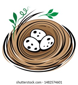 Birds nest with eggs isolated on white background. Cartoon bird eggs nest draw vector illustration.