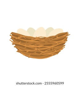 Birds nest with eggs. Nature branches collected together for laying and hatching chicks with nature vector design