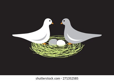 Birds in nest with eggs on black background