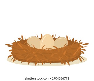 bird's nest with eggs on a white background