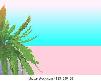 Bird's nest fern. isolate on pastel pink and blue background. nostalgic\ emotion \ aesthetic feeling