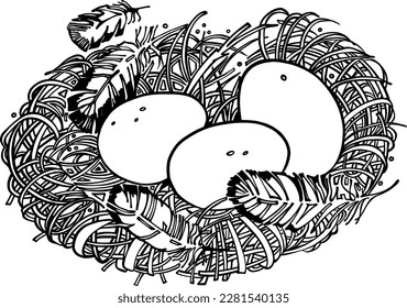 A bird's nest with fluffy feathers and a clutch of eggs