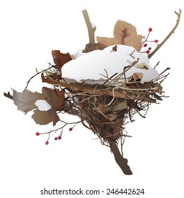 Bird's Nest Hand drawn vector illustration of a snow filled bird's nest built on a branch of wild rose bush still bearing a couple of berries.White background. 