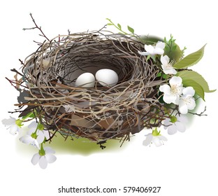 Bird's Nest.
Hand drawn vector illustration of a nest with two white eggs, surrounded by spring flowers and green shoots, on white background.