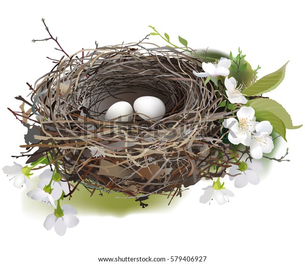 鳥の巣 白い背景に春の花と緑の芽に囲まれた 2つの白い卵の巣の手描きのベクターイラスト のベクター画像素材 ロイヤリティフリー