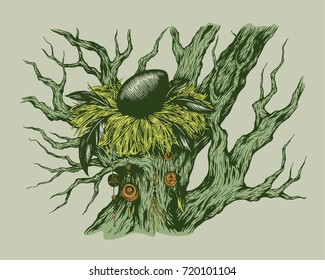 Bird's nest on a tree with egg and feathers