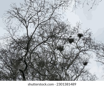 Birds nest on a tree in a foggy winter day.
