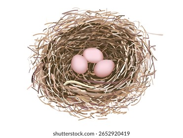 Bird's Nest with Three Eggs Illustration Vector Style.