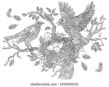 Birds nests on the branches of a tree. Leaves, feathers, wings, eggs. Environment, nature, pring. Hand drawn illustration. Cute anti stress coloring book page, postcard.