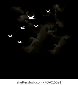 birds in the night vector illustration