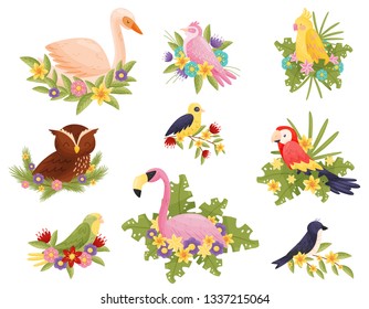 Birds ollection on white background. Animals and spring.
