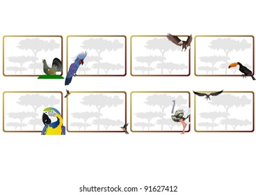 Birds on the background frame with trees