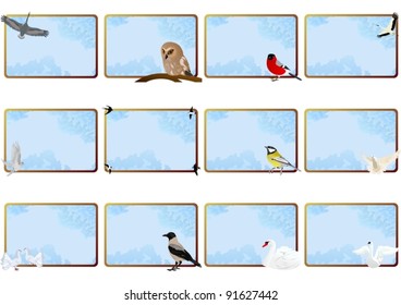 Birds on the background of the framework of the sky with clouds