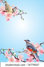 birds on the blossoming cherry detailed vector