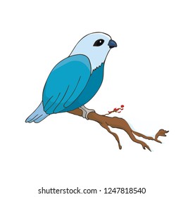 birds on a branch