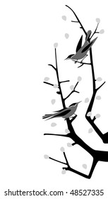 birds on the branch
