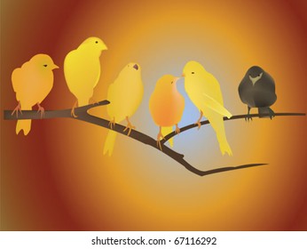 birds on a branch