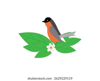 Birds on a branch Beautiful birds. Coloring pictures with bird blooming tree branch, flowers