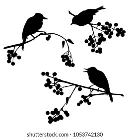 Birds on the branch during summer days - vector illustration