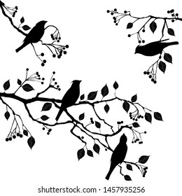 Birds on the branch during summer days - vector illustration