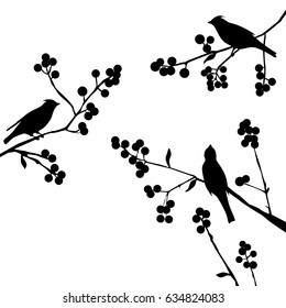 Birds on the branch during summer days - vector illustration