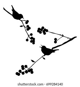 Birds on the branch during summer days - vector illustration