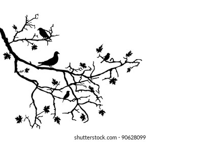 birds on branch illustration