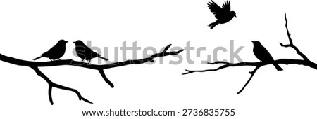 Birds on Branch Silhouette Set Flying and Sitting Bird Vector