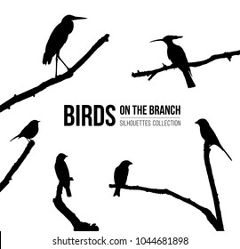 Birds on the branch silhouettes collection