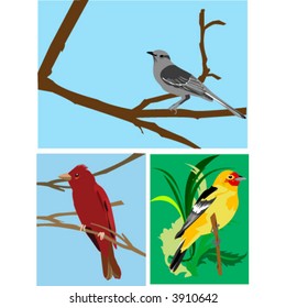 Birds on branch -vector