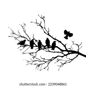 Birds on a branch. Vector illustration
