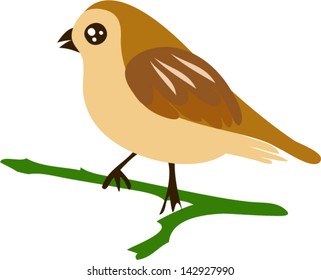 birds on branches