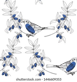 Birds on the branches of honeysuckle. Seamless pattern on white background. Hand-drawn vector Illustration.